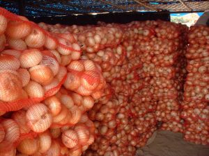 Frutas y Vegetales