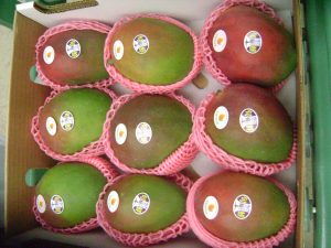 mango